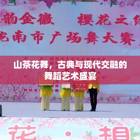 山茶花舞，古典与现代交融的舞蹈艺术盛宴