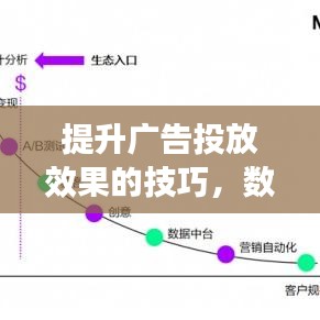 数据驱动营销策略，提升广告投放效果的技巧之道