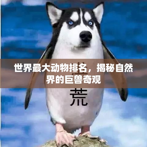 关于园区 第192页