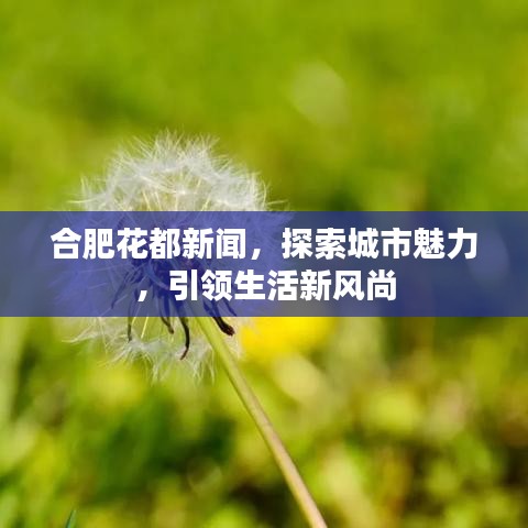 合肥花都新闻，探索城市魅力，引领生活风尚。