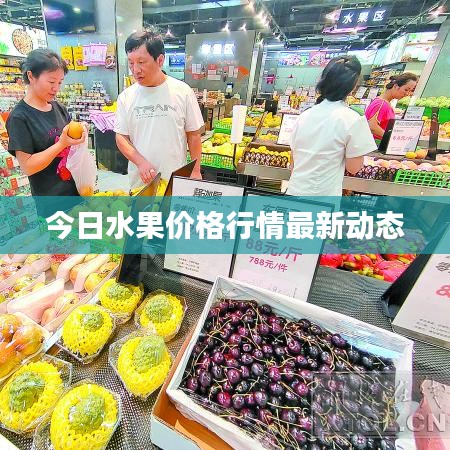 广告资源 第193页