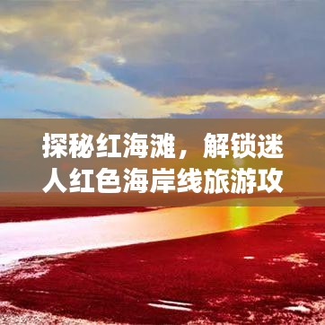 探秘红海滩，解锁迷人红色海岸线旅游攻略