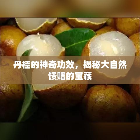丹桂的神奇功效，揭秘大自然馈赠的宝藏