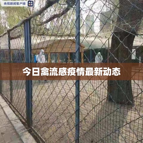 今日禽流感疫情最新动态