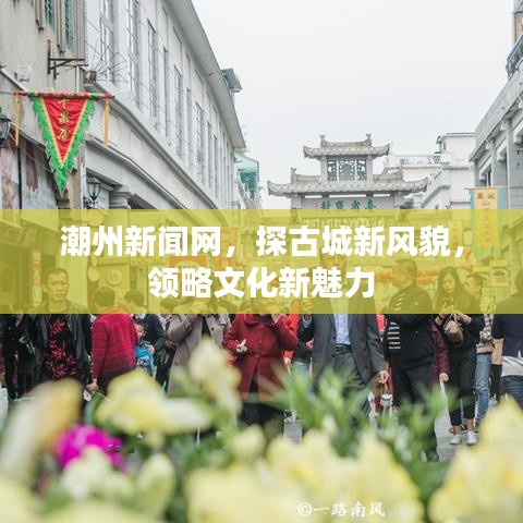 实力资源 第183页