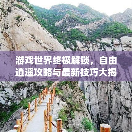 游戏世界终极解锁，自由逍遥攻略与最新技巧大揭秘
