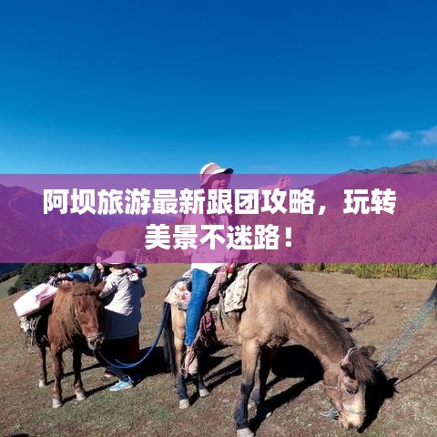 阿坝旅游最新跟团攻略，玩转美景不迷路！
