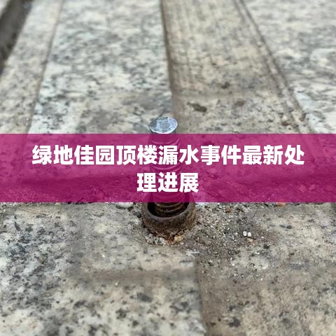 人才展示 第185页