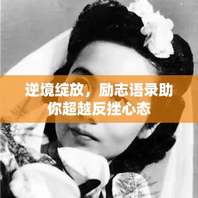 资讯公告 第180页