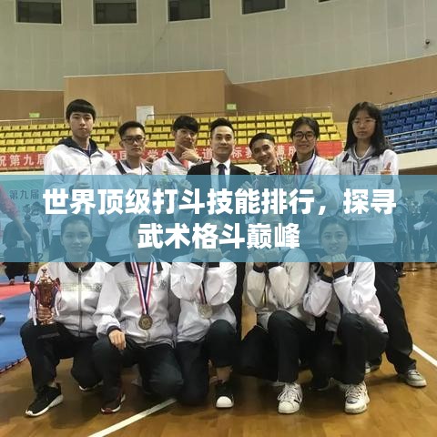 世界顶级打斗技能排行，探寻武术格斗巅峰