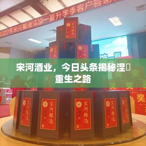 宋河酒业，今日头条揭秘涅槃重生之路