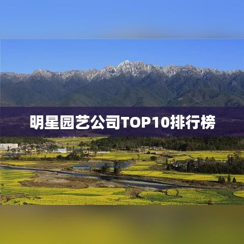 广告资源 第182页