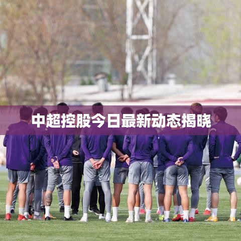 中超控股今日最新动态揭晓