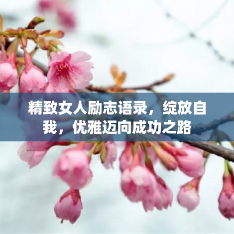 精致女人励志语录，绽放自我，优雅迈向成功之路