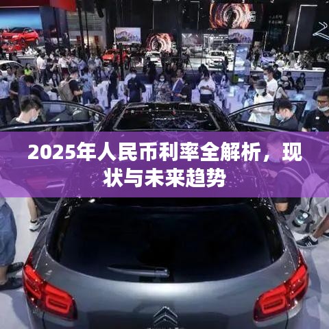 2025年人民币利率全解析，现状与未来趋势
