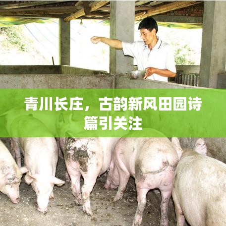 第1480页