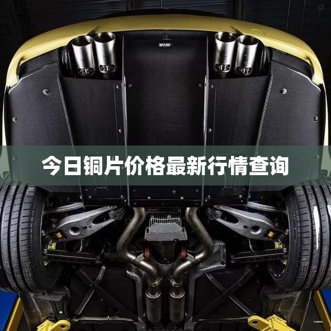 鸟飞兔走 第3页