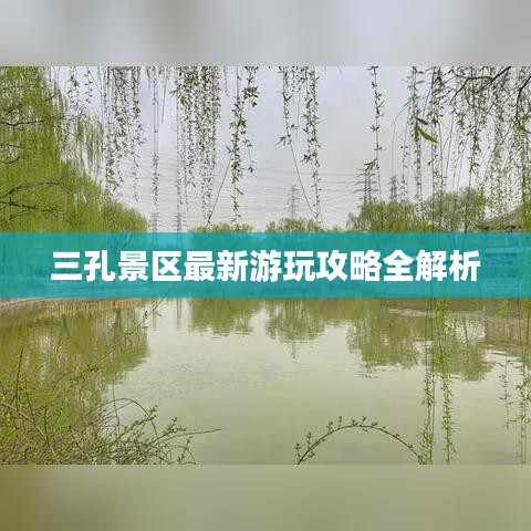 弃文就武 第4页