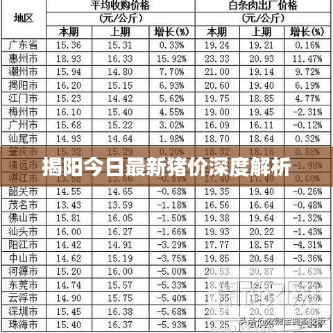 揭阳今日最新猪价深度解析