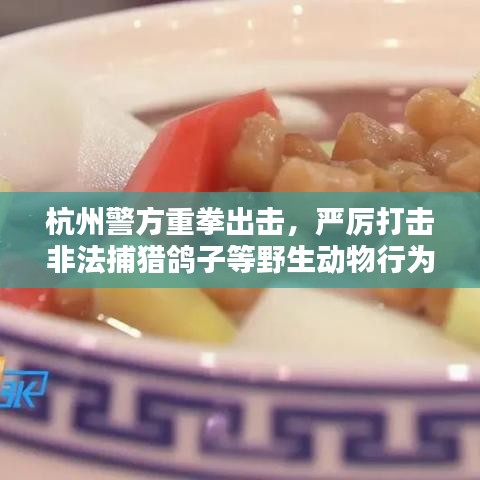 笼鸟槛猿 第3页