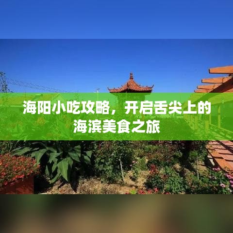 海阳小吃攻略，开启舌尖上的海滨美食之旅