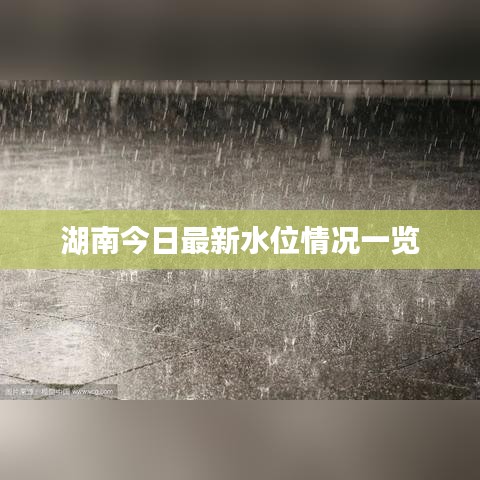 湖南今日最新水位情况一览