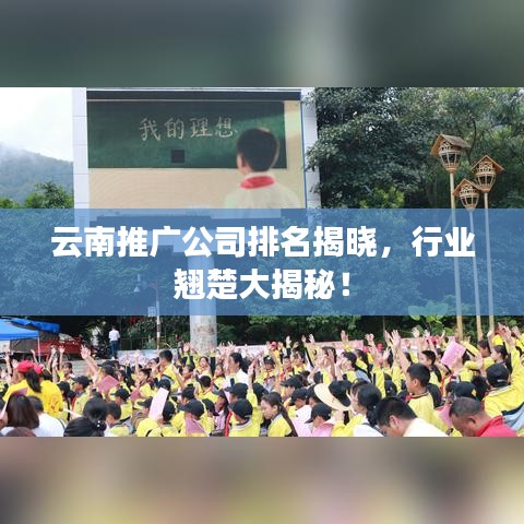 云南推广公司排名揭晓，行业翘楚大揭秘！