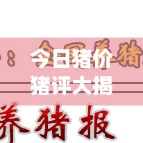 黑天摸地 第3页