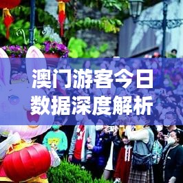 澳门游客今日数据深度解析，最新趋势报告揭秘！