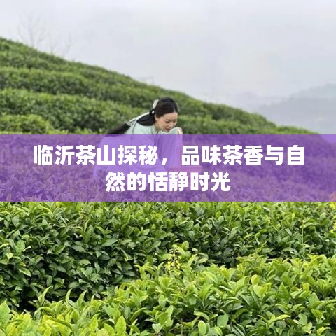 洁身自好 第3页