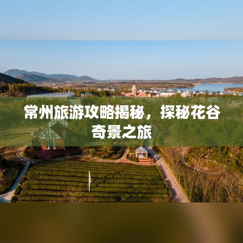 广告资源 第167页