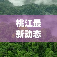 富贵有余 第3页