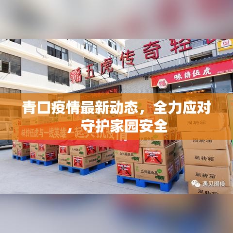 青口疫情最新动态，全力应对，守护家园安全