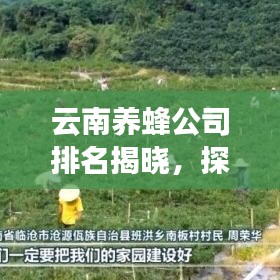 云南养蜂公司排名揭晓，探寻行业领军者，不容错过的养蜂企业榜单！