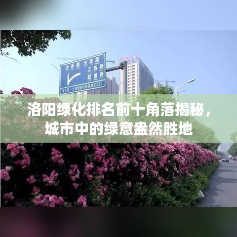 洛阳绿化排名前十角落揭秘，城市中的绿意盎然胜地