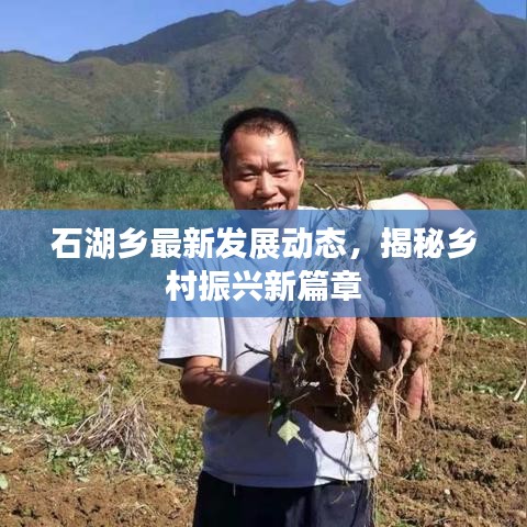 石湖乡最新发展动态，揭秘乡村振兴新篇章