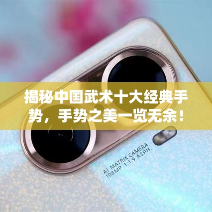 揭秘中国武术十大经典手势，手势之美一览无余！