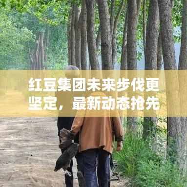 红豆集团未来步伐更坚定，最新动态抢先看！