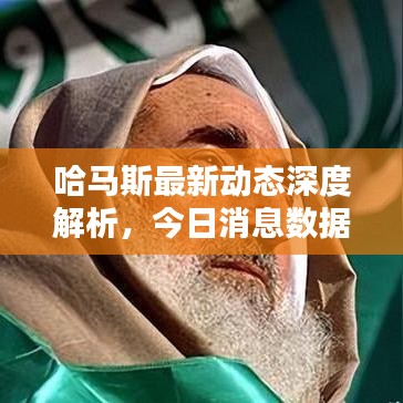 哈马斯最新动态深度解析，今日消息数据一网打尽