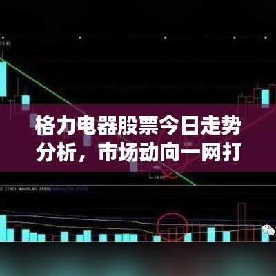 格力电器股票今日走势分析，市场动向一网打尽