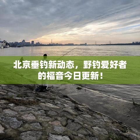 北京垂钓新动态，野钓爱好者的福音今日更新！