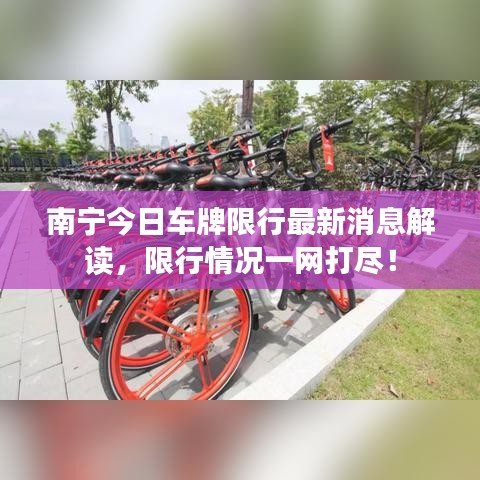 南宁今日车牌限行最新消息解读，限行情况一网打尽！