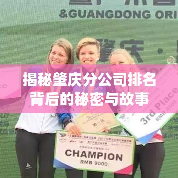 揭秘肇庆分公司排名背后的秘密与故事