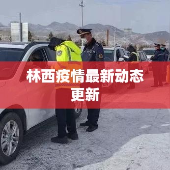 林西疫情最新动态更新