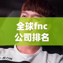 全球fnc公司排名大解密，影响力不容小觑！