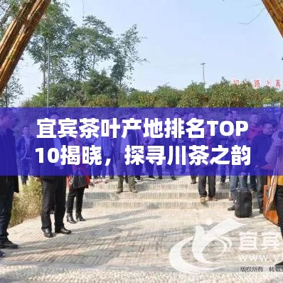 宜宾茶叶产地排名TOP10揭晓，探寻川茶之韵，品味十大名茶的魅力！