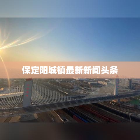 保定阳城镇最新新闻头条