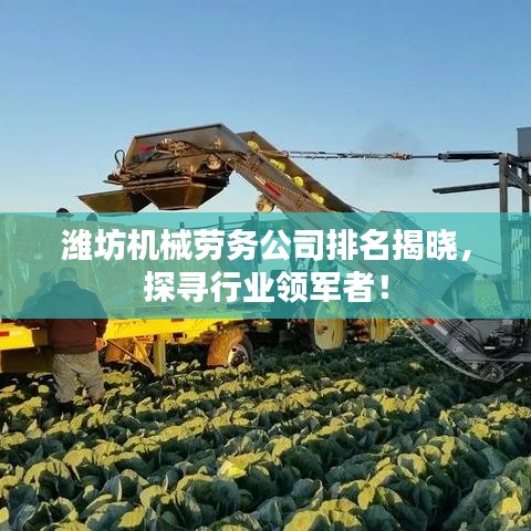 潍坊机械劳务公司排名揭晓，探寻行业领军者！