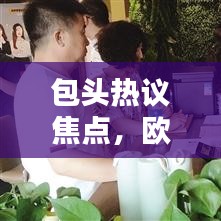 包头热议焦点，欧派新闻与包头市的紧密联动