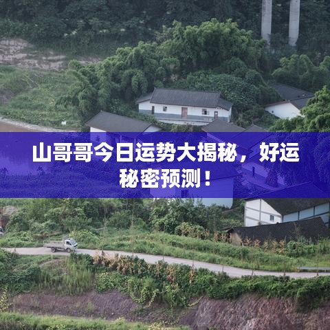 山哥哥今日运势大揭秘，好运秘密预测！